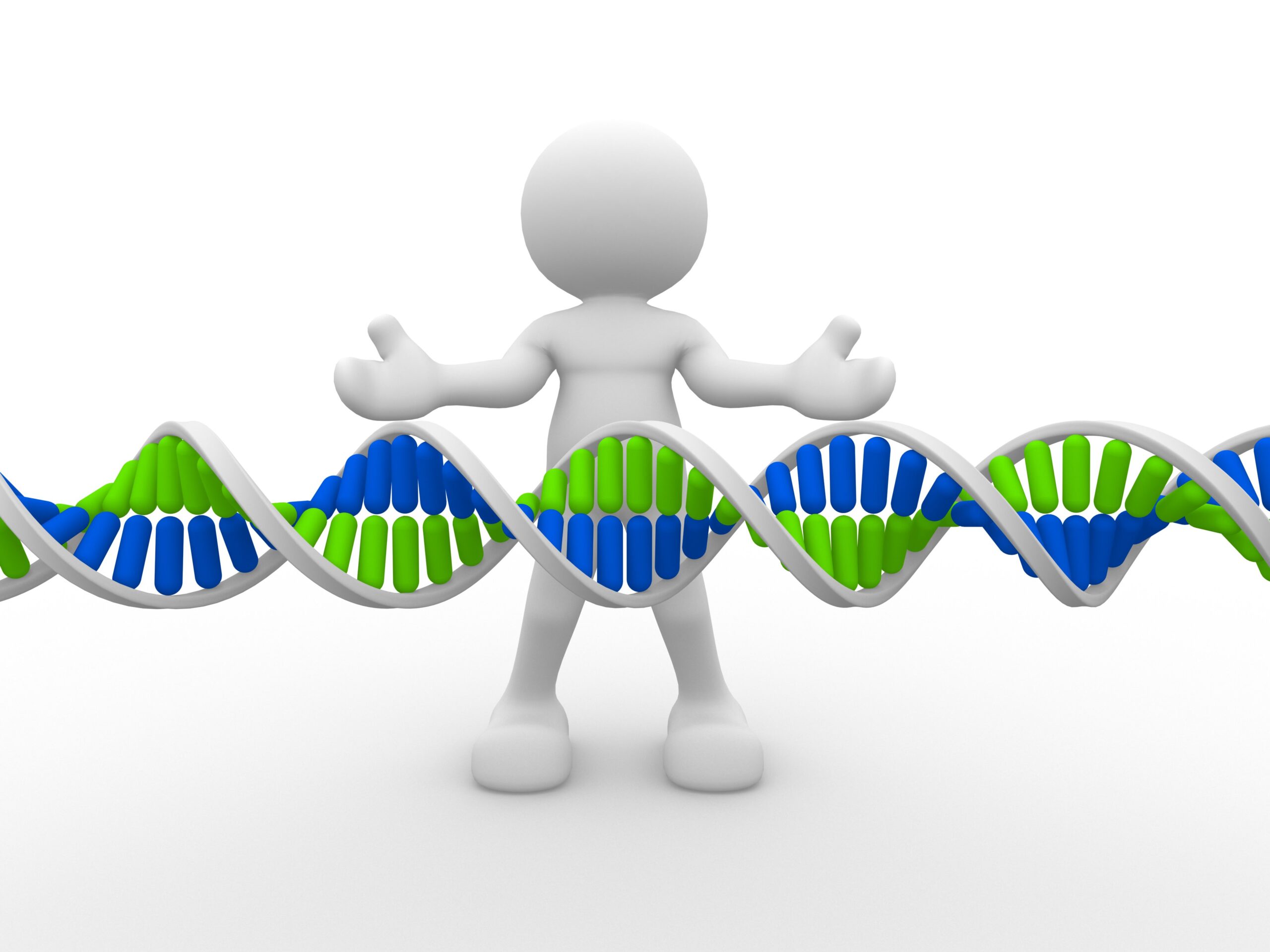 Геном белого человека. Человечек с ДНК. Генетика человечки. ДНК на белом фоне. Гены белый.